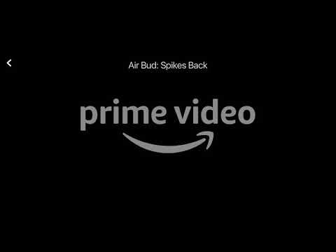 Air Bud-Spikes Back