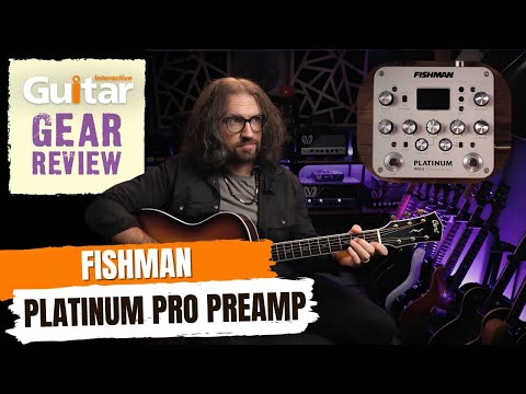Fishman Platinum Pro EQ 2010s - Brushed Metal image 2