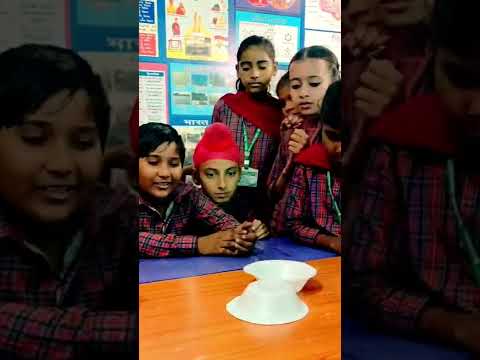 Magical Bowl 🍜 wow!!