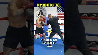 How to Defend Uppercuts (PRO Tips)