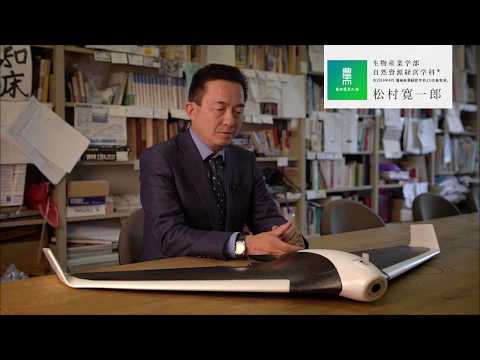 生物産業学部 自然資源経営学科 研究紹介