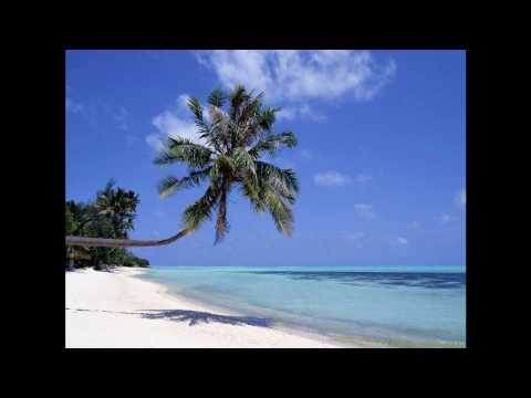 On The Beach-Sonic Palms 2009