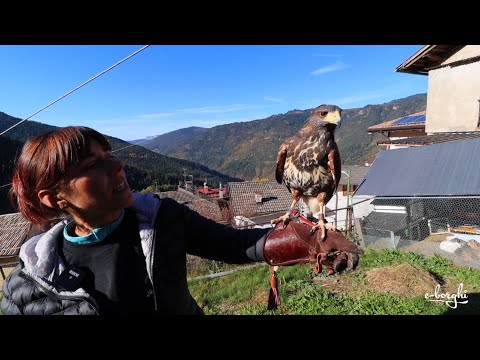 Chalet Resort Ristorante La Baita delle Fate