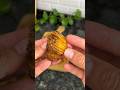 Potato Hasselback