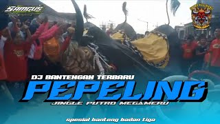 Download lagu DJ BANTENGAN❗️❗️( PEPELING ) PUTRO MEGA MERU Remixer By SAMGUS REVOLUTION mp3