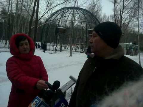 В Белгороде начали делать прививки птицам от гриппа