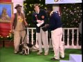 Anthoney Dave And Mathews At The Dog Show