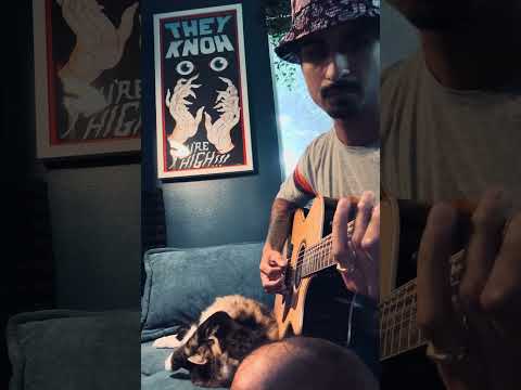 Science And Regret - Kitten