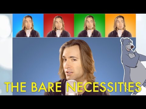 The Bare Necessities | Bass Singer Cover