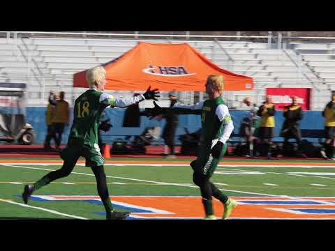 CLS Boys Soccer Places 2nd at 2019 IHSA State Finals