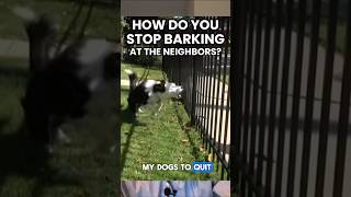 How Do You STOP Barking on the Fence/Neighbors?