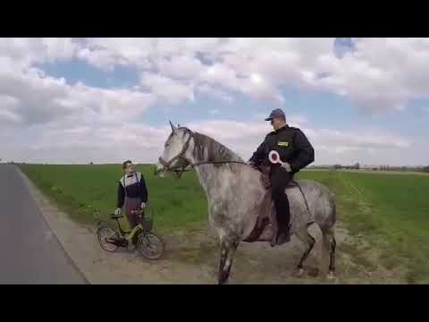 Sierżant kobyła się kłania🤣🤣😂😂🤣