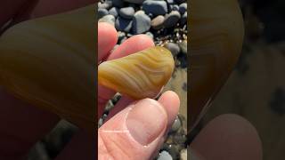 Download lagu Hello sunshine 🌞  #agate #agates #agatehunting #beachcombing #rockhounding #rockhound #pnw #gems mp3