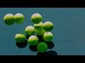 Top 10 Sports That Are Fun To Play
