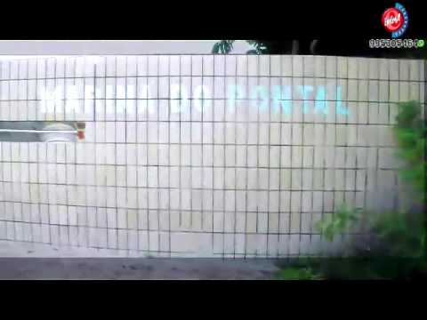 Ozz bambinos. .. clip oficial