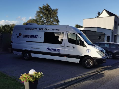 Unser neuer Transporter