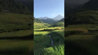 Download lagu KEINDAHAN ALAM INDONESIA STORY WA #shorts #pemandangan #nature #foryou #travel #foryou #fyp #viral mp3