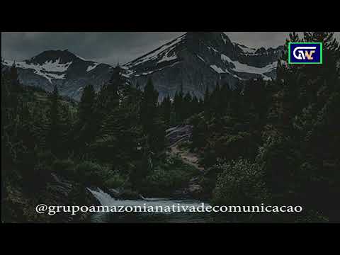 Formação da Amazônia
