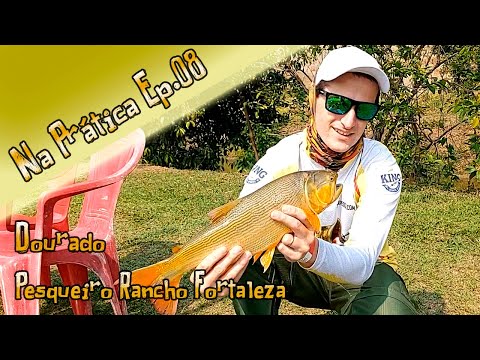 Dourado no Pesqueiro Rancho Fortaleza - Na prática Ep. 08