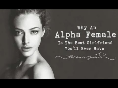 204 - Understanding Alpha Females_ Types and Social Dynamics #education  #podcast