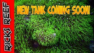 HOW TO: Setup a Reef Tank | New tank coming soon!
