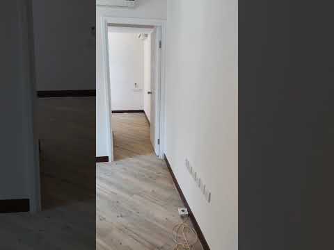 万林阁 Youtube Video