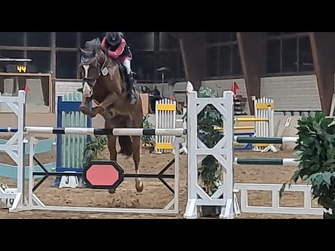 Malu (12) und Zappa - Abwurf beim Punkte-L in Kamen am 20.11.2021