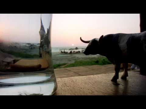 COPY007 - Folic State - Sunchill (Video Cut)