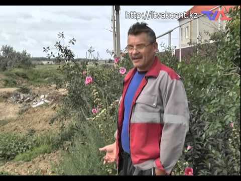 Лисаковск, выпуск программы «День» от 14 августа 2014 г.