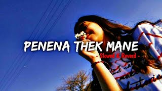 Penena Thek Mane  - Slowed & Reverd - 🎧