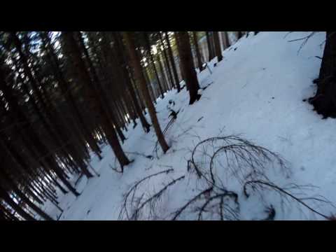 Freeride under the cableway from Priehyba 1342 - Jasna 1226m  (Jasna, Low Tatras, Slovakia)