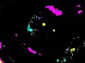Klaskyklaskyklaskyklasky Gummy Bear In G Major 88 80 8