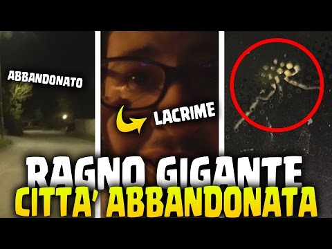 CITTA' ABBANDONATA! E QUASI INCIDENTE PER UN RAGNO! #CarTravel