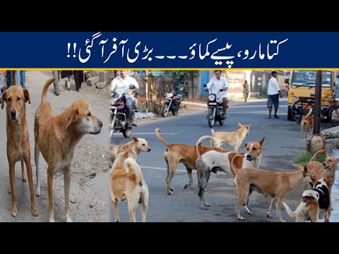 Establishment of Animal Sanctuary in Quetta