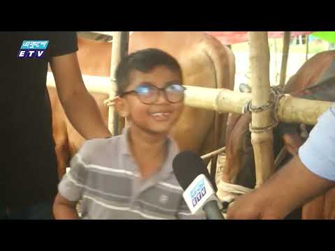 রাজধানীর পশুর হাটে দর্শনার্থী বেশি ক্রেতা কম