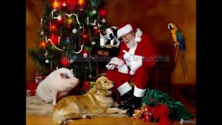 Silent Night arr. S.Aoyama