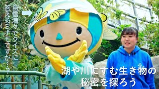 ザ・ワールド～ミナモの世界～【アクア・トト編】