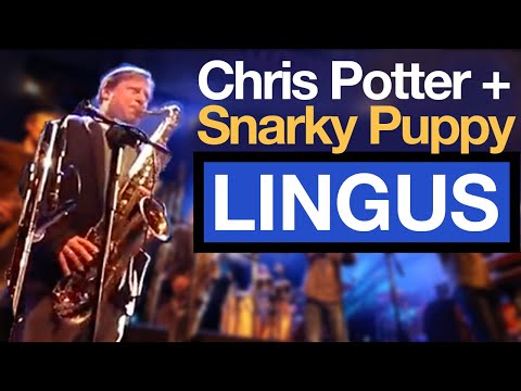 Chris Potter shreds “Lingus” with Snarky Puppy