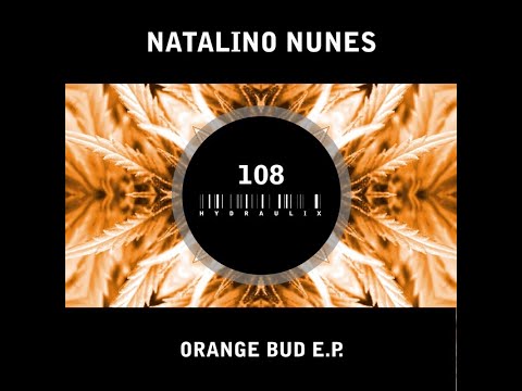 Natalino Nunes - Orange Bud E.P. - Hydraulix 108