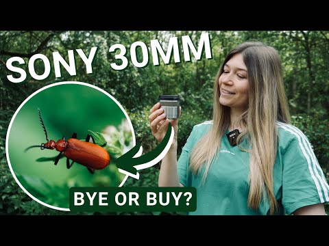 Video thumbnail for Video Review 2