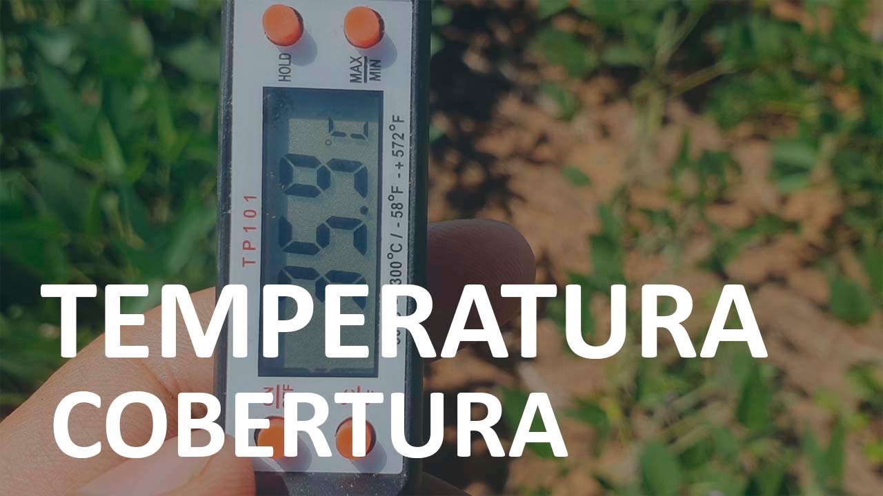 Diferença de Temperatura do solo com Cobertura do Estilosantes