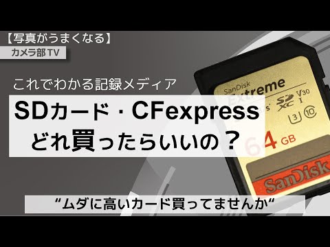 【写真がうまくなる】これでわかる記録メディア「SDカード・CFexpressどれ買ったらいいの？」～ムダに高いカード買ってませんか～