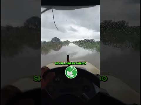 🌧️ Santa Fe bajo agua: rutas anegadas y caminos intransitables en el norte provincial