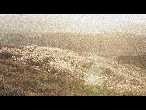 최유리 - Track9 (이소라)