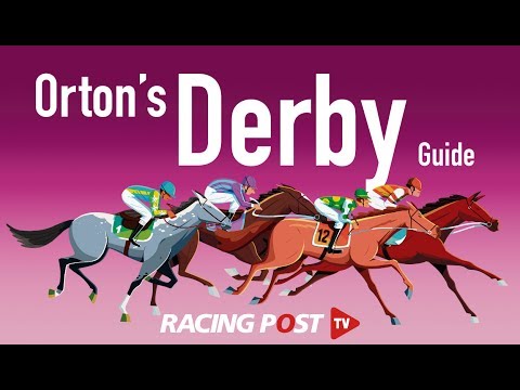 Investec Derby: Horse by horse guide