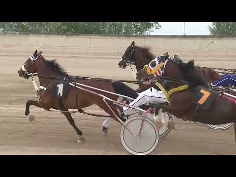 Ippodromo dei Sauri - Corsa Minitrotter del 9.5.2024