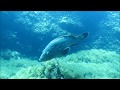 Naturschutzgebiet Pianosa bei ELBA - iTALIEN