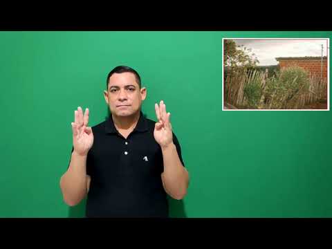 Miniatura do vídeo: Terreiro 020