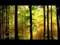 YANNI - Whispers in the Dark 