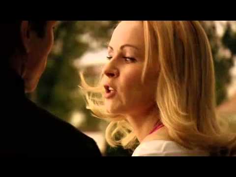 prawo jazdy   job, czyli ostatnia szara komórka